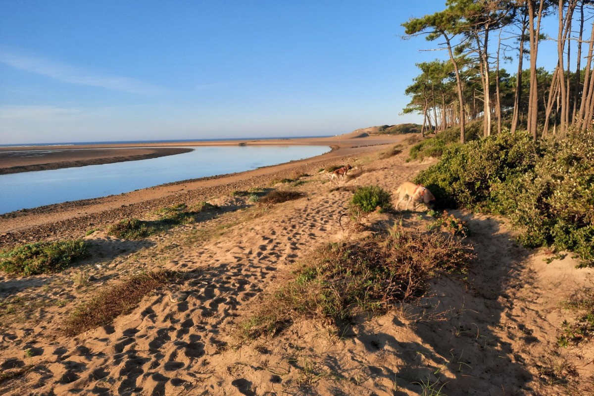 plage du veillon