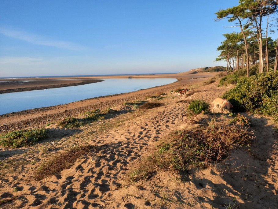 plage du veillon