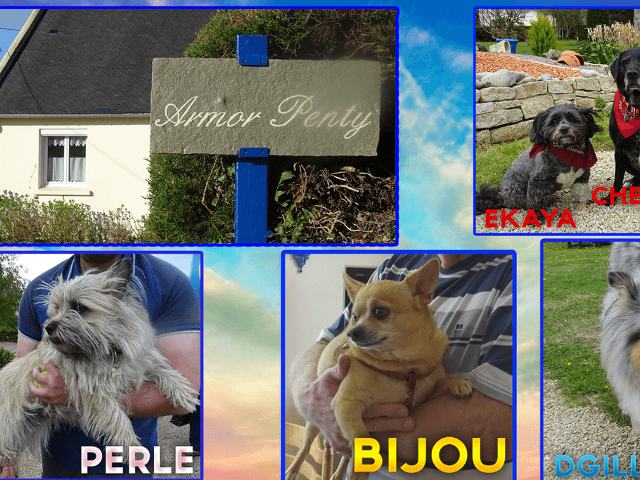 Nos amis les bêtes sont les bienvenues