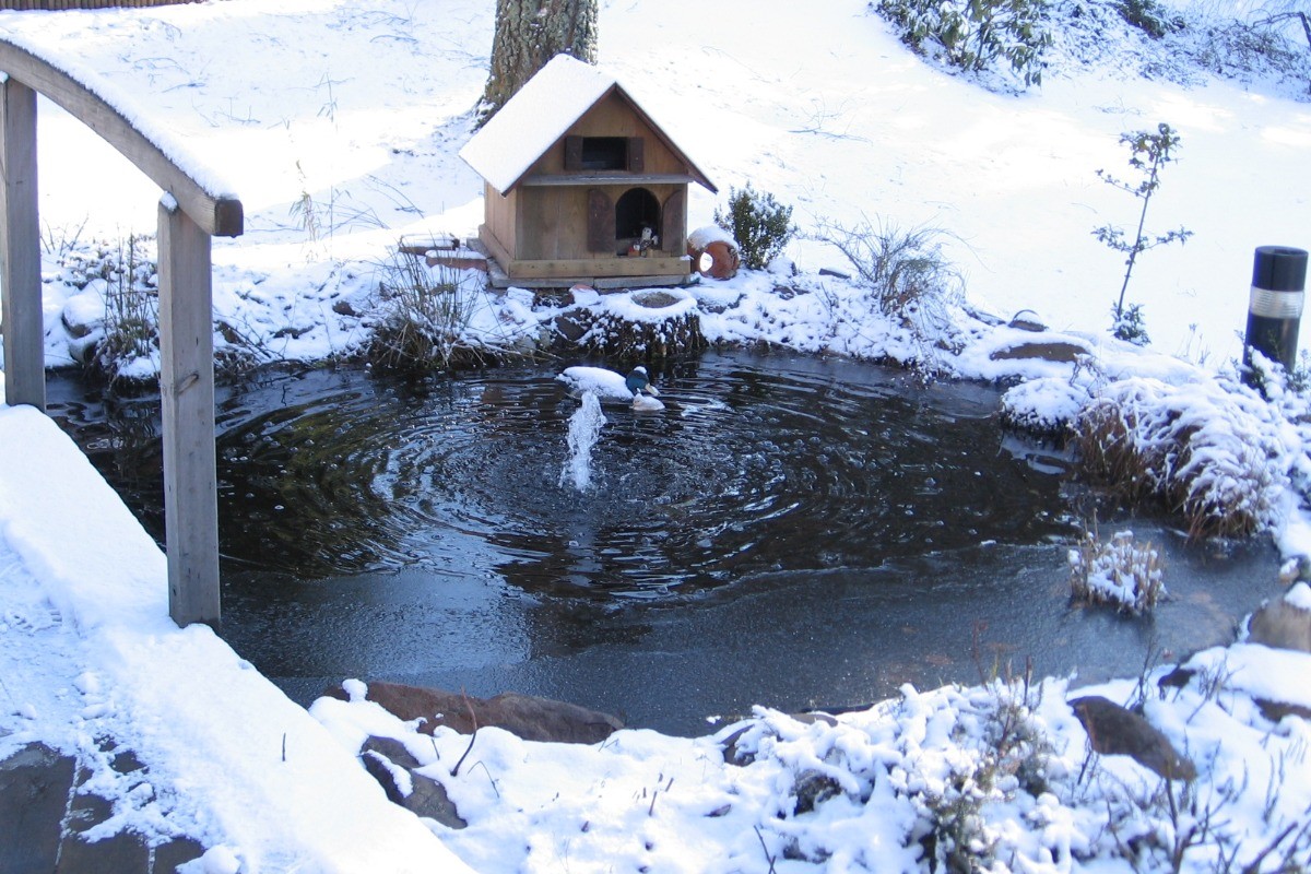 Photo n° 14 of the location