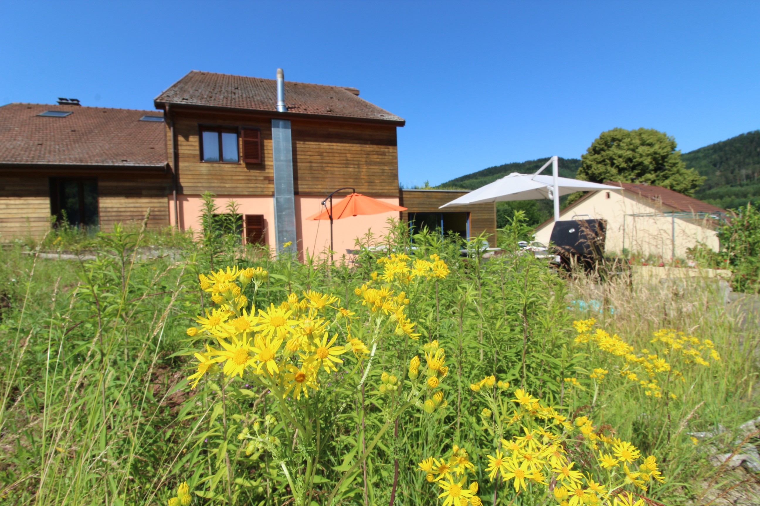 Ecogîte Saint-Prayel à Moyenmoutier – Gîte de groupe avec piscine, sauna, jeux
