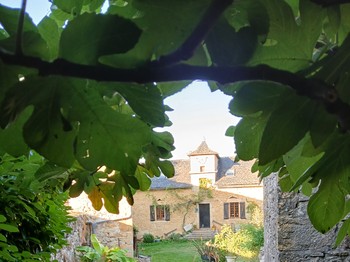Photo n° 9 de la location