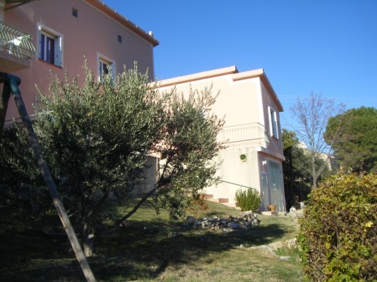 Le jardin et ses oliviers