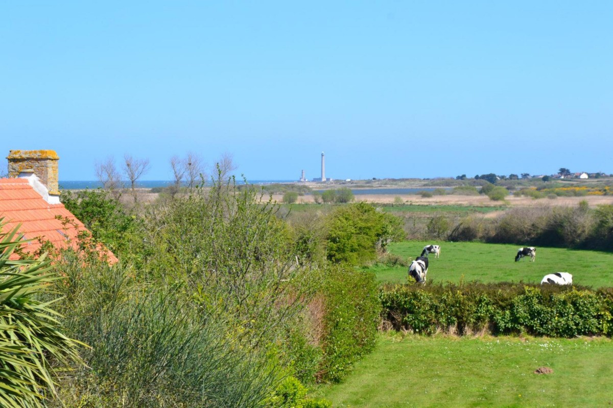 Photo n° 14 de la location