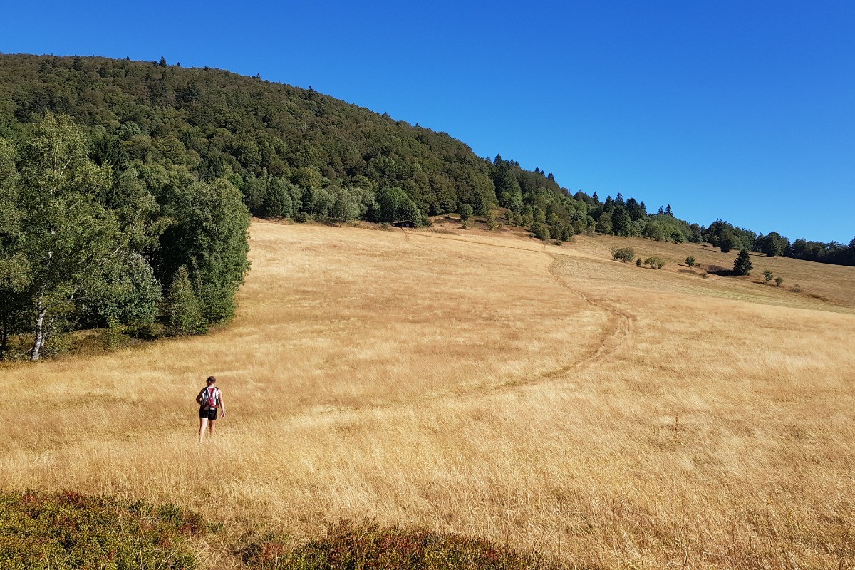 Chaume de la haute Bers au dessus de Rimbach