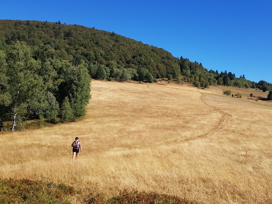 Chaume de la haute Bers au dessus de Rimbach