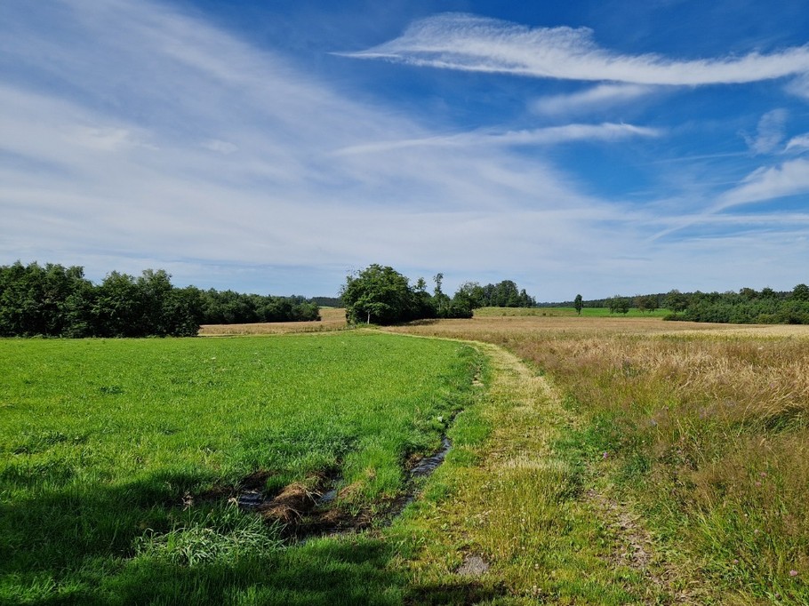 Chemin de randonnée à 50m du Gîte Vosgien Chez Capucine et Mirabelle à BELLEFONTAINE 88