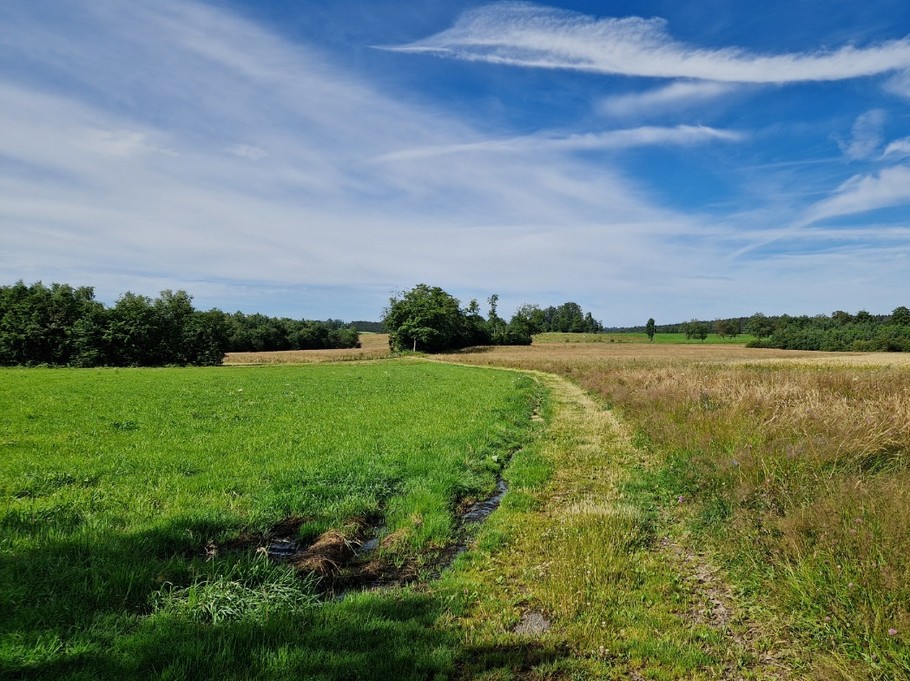 Chemin de randonnée à 50m du Gîte Vosgien Chez Capucine et Mirabelle à BELLEFONTAINE 88