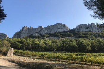 Les Dentelles de Montmirail©F. De Gardebosc