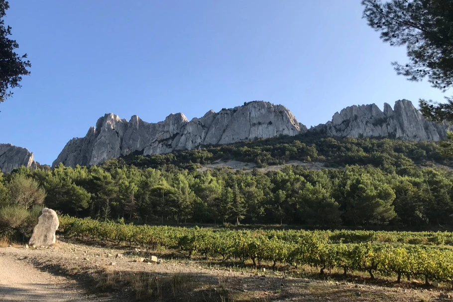 Les Dentelles de Montmirail©F. De Gardebosc