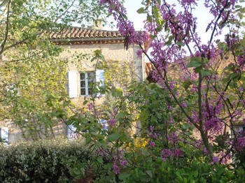 Environnement arboré et fleurie - Virac - Tarn