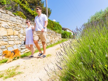Chiens bienvenus