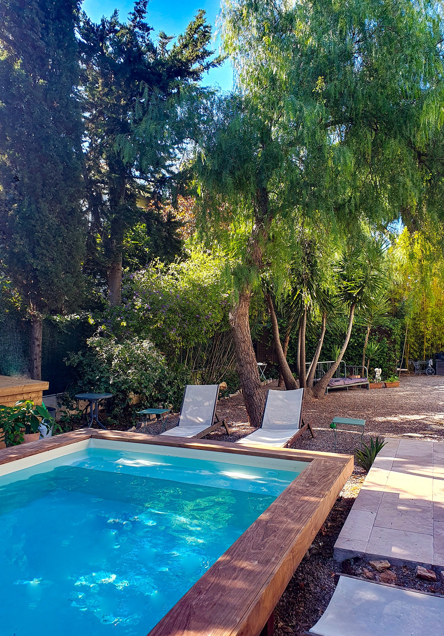 La piscine ombragée, idéale pour les moments de grosses chaleurs 🌴🌴🌴