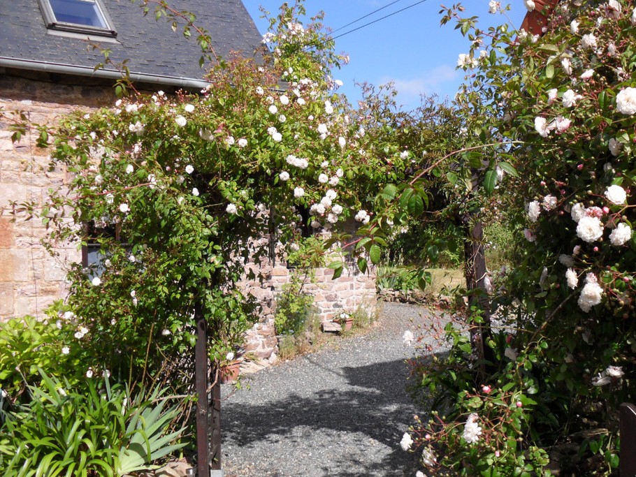 The Portico and its Rose Garden