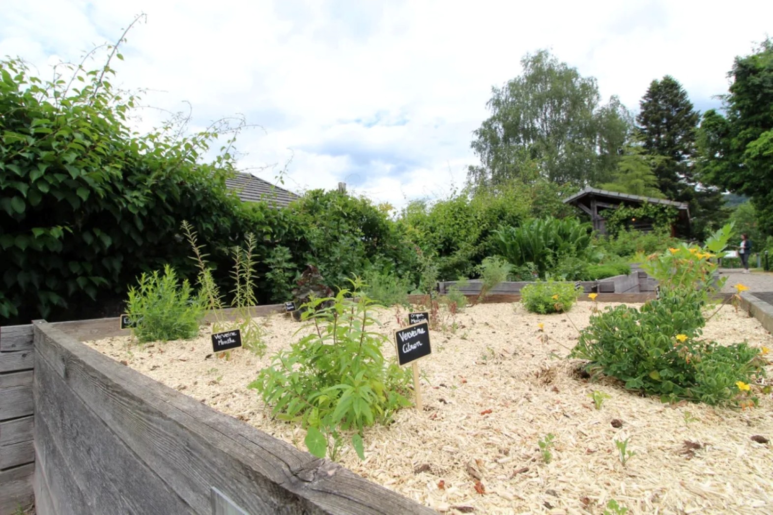Photo n° 10 of the location
