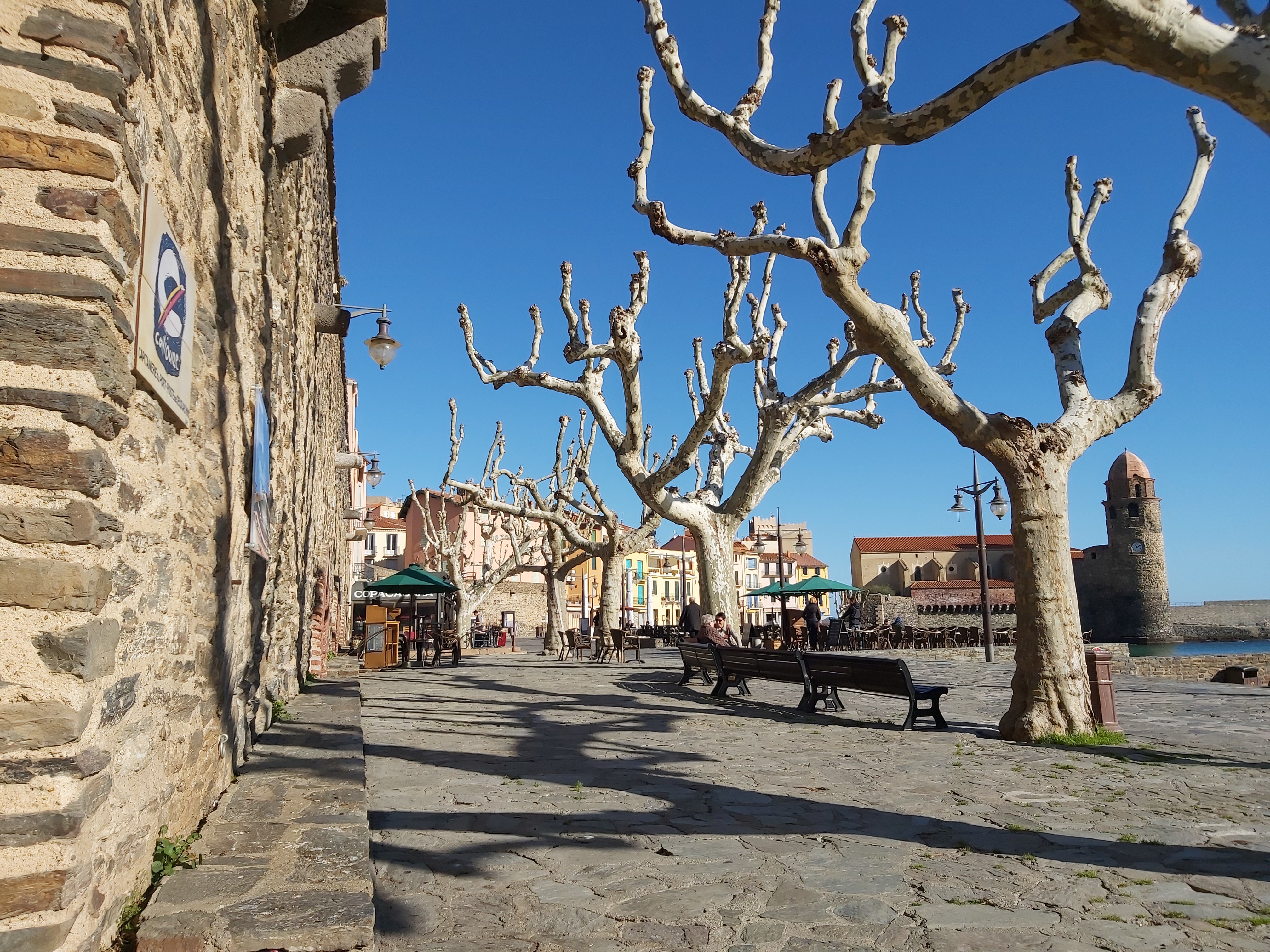 Collioure in Winter