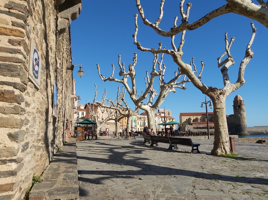 Collioure in Winter
