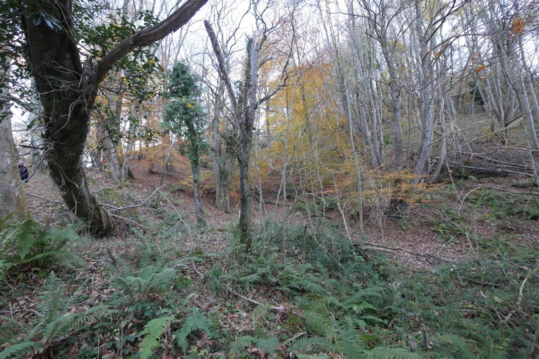 Photo n° 19 de la location