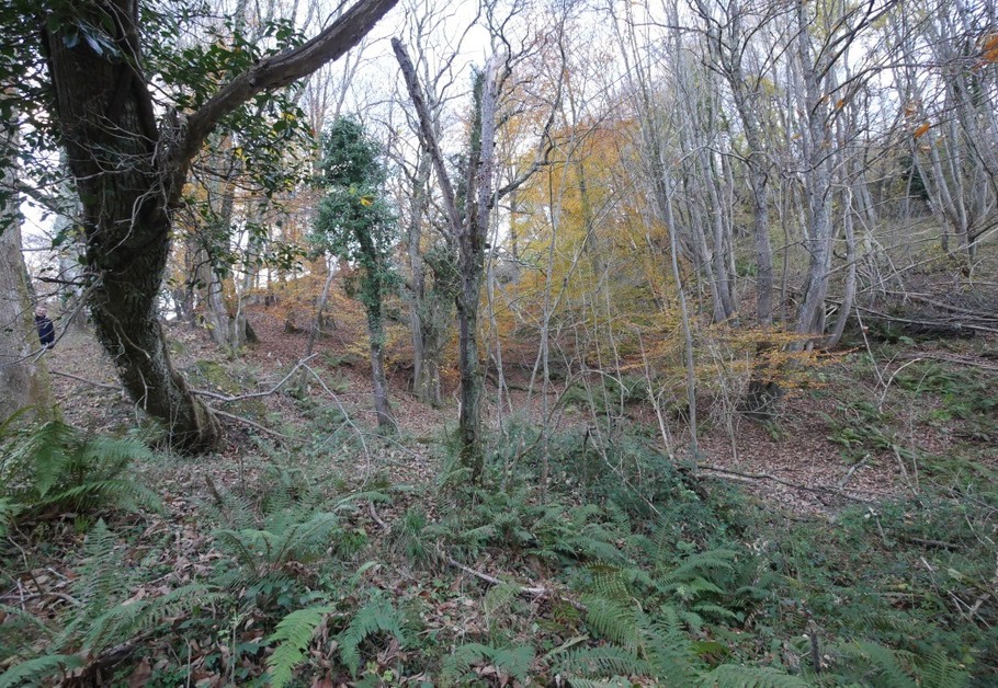 Photo n° 19 of the location