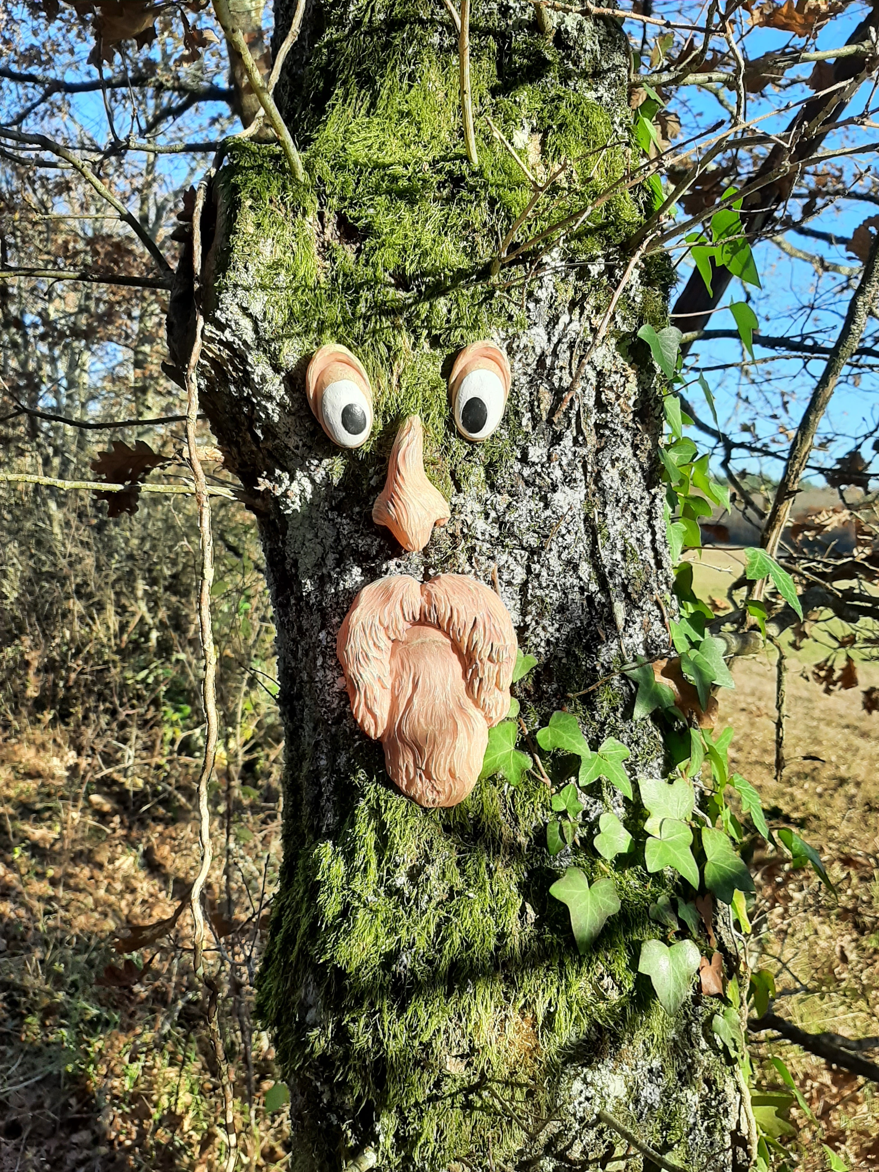 Photo n° 14 de la location