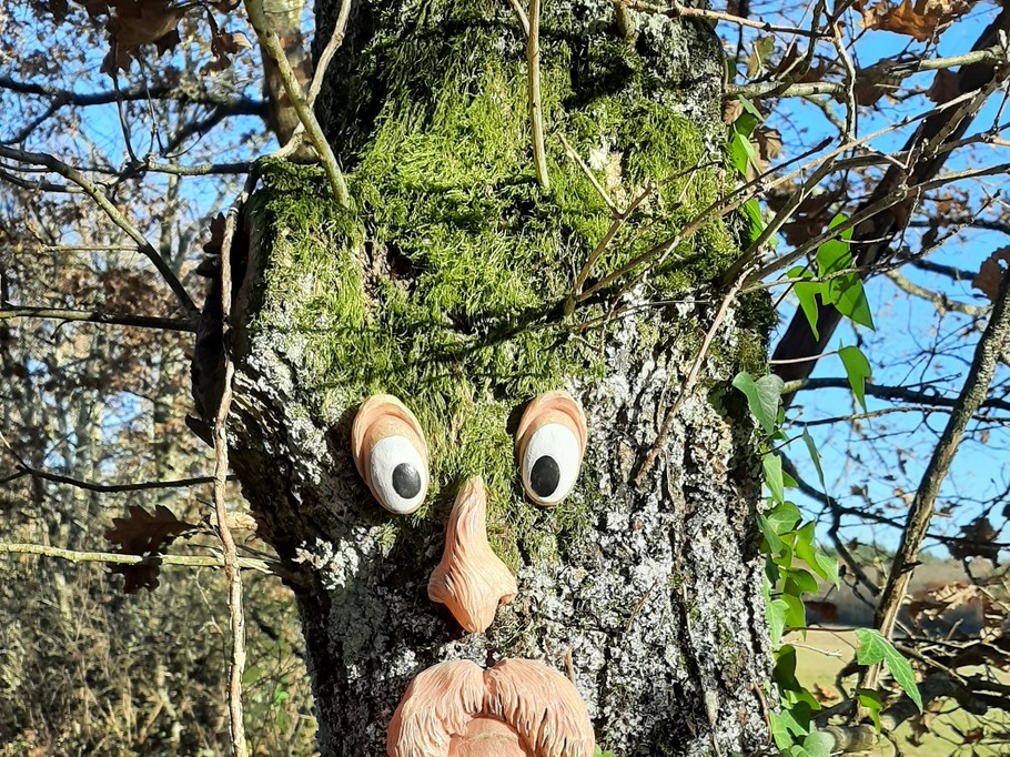 Photo n° 14 de la location