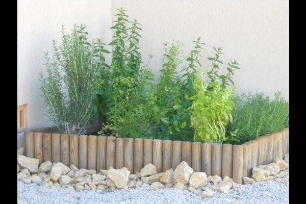 carré d'herbes aromatiques