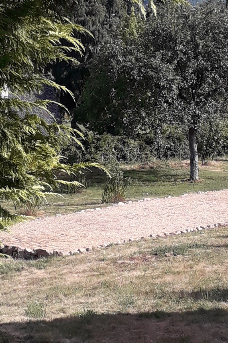 Photo n° 17 of the location
