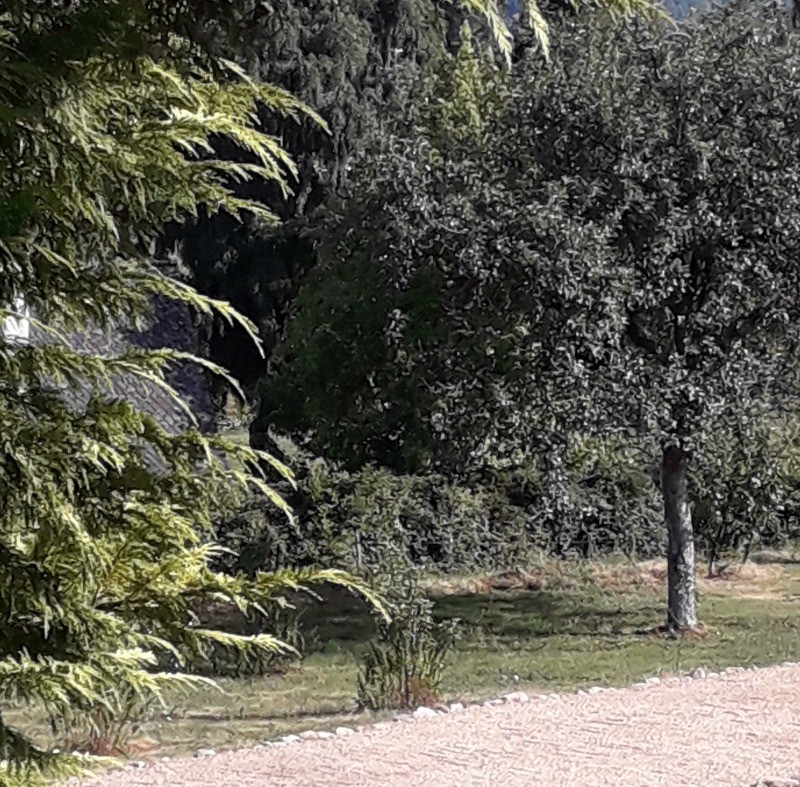 Photo n° 17 of the location