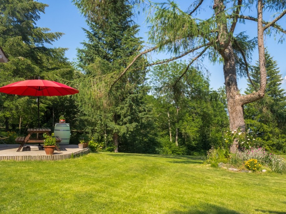 Vaste espace extérieur