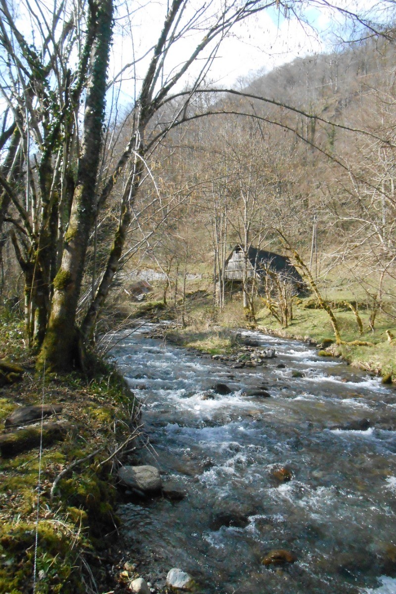 Rivière d'Orle où vous pourrez pêcher
