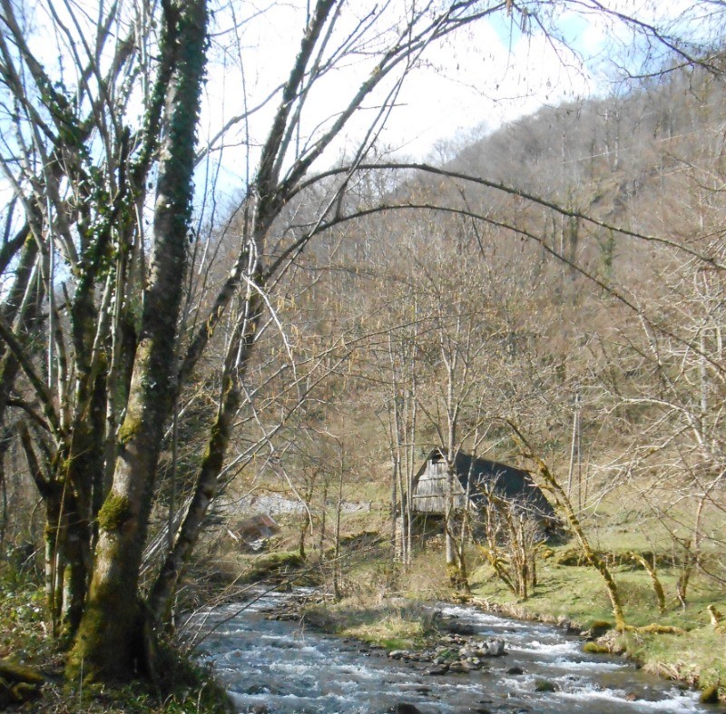 Rivière d'Orle où vous pourrez pêcher