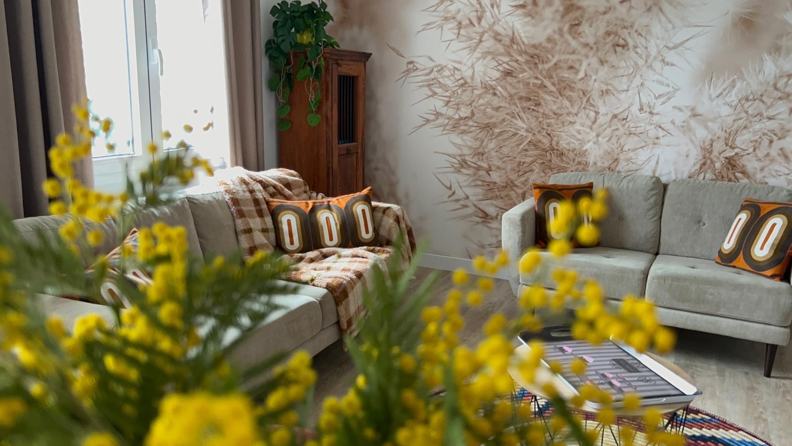 Photo n° 11 de la location