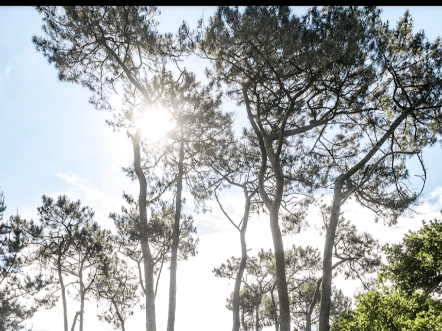 Golf de Guérande