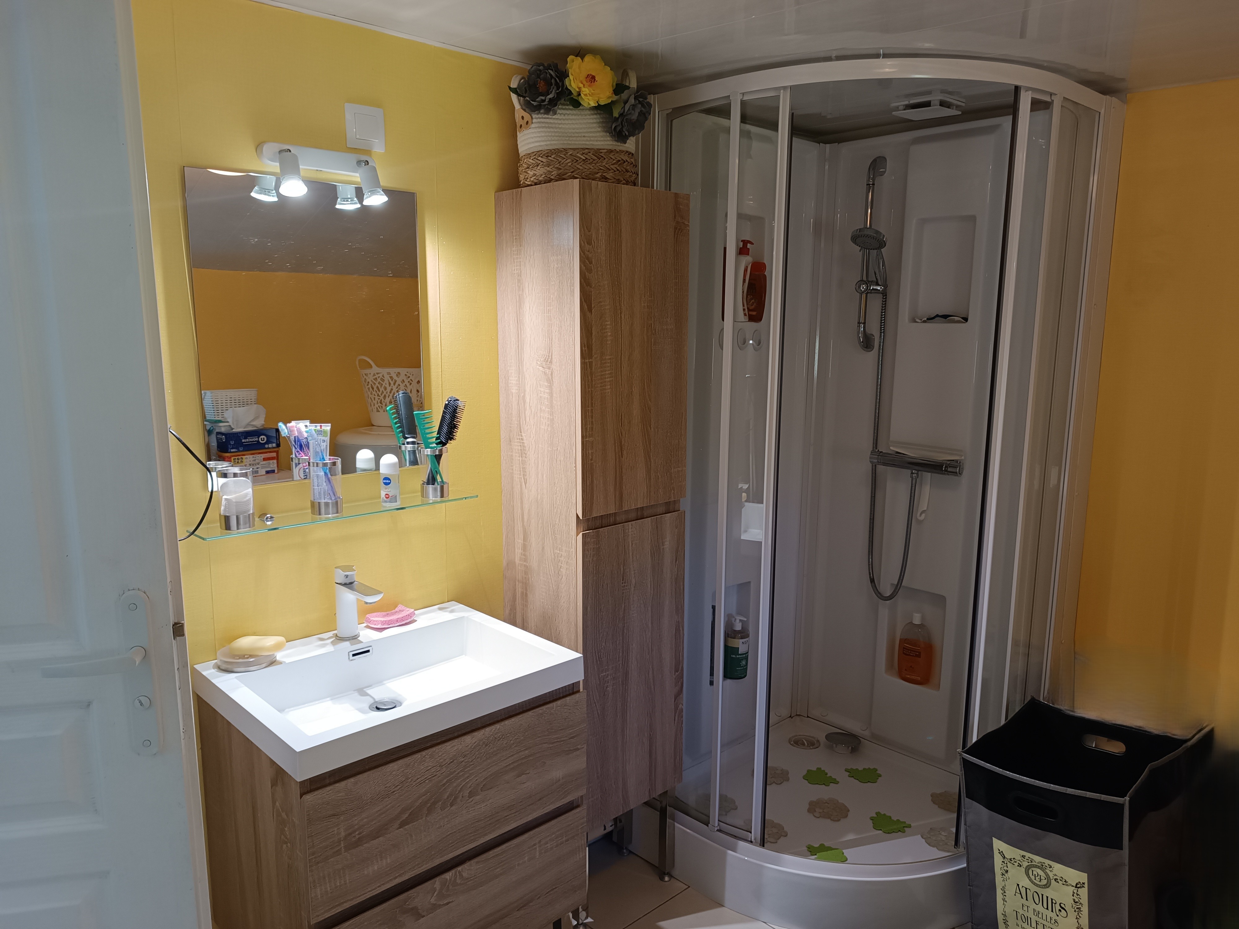 Shower room with WC