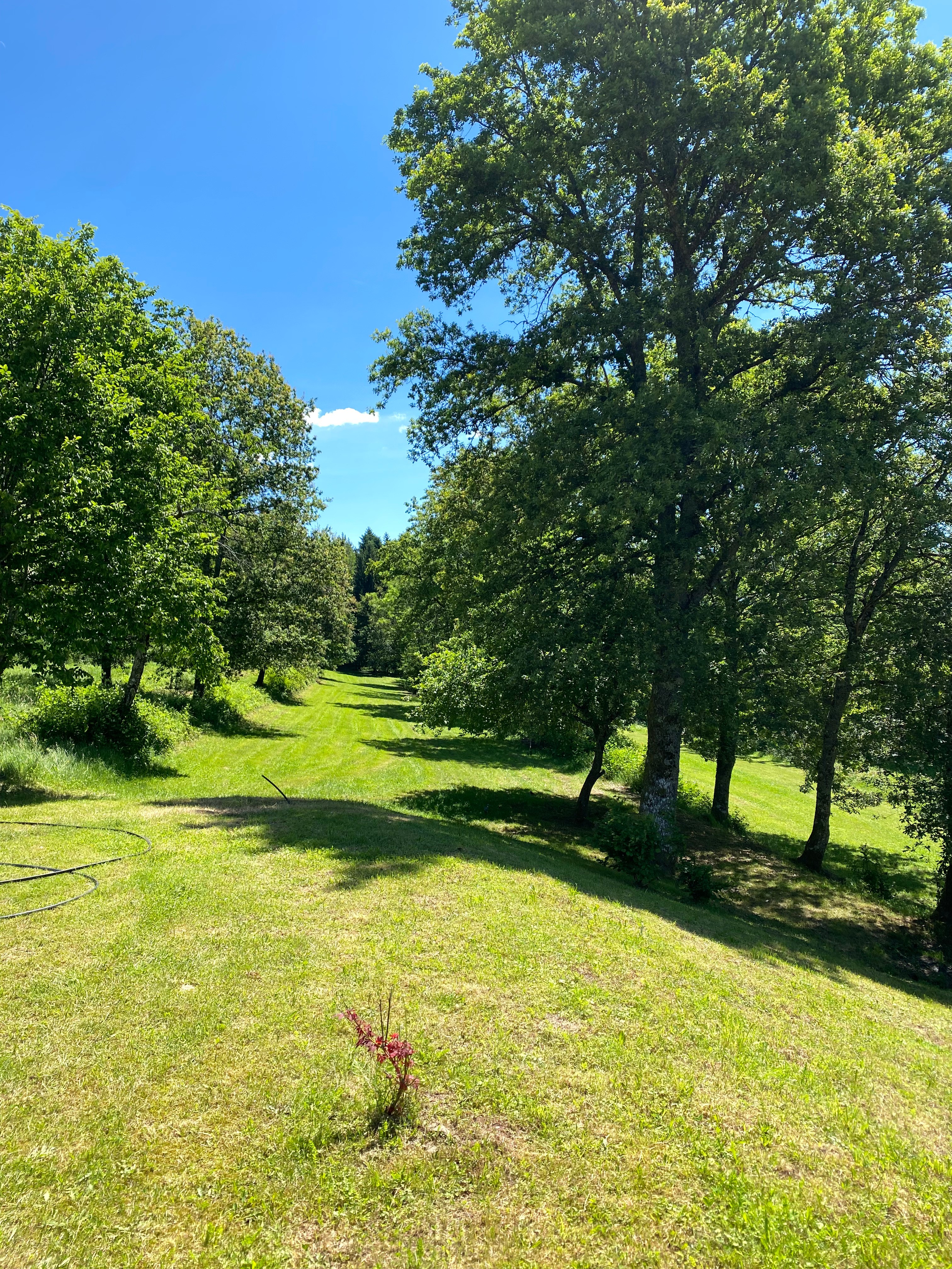Jardin  - Appartement Le Grimaubois