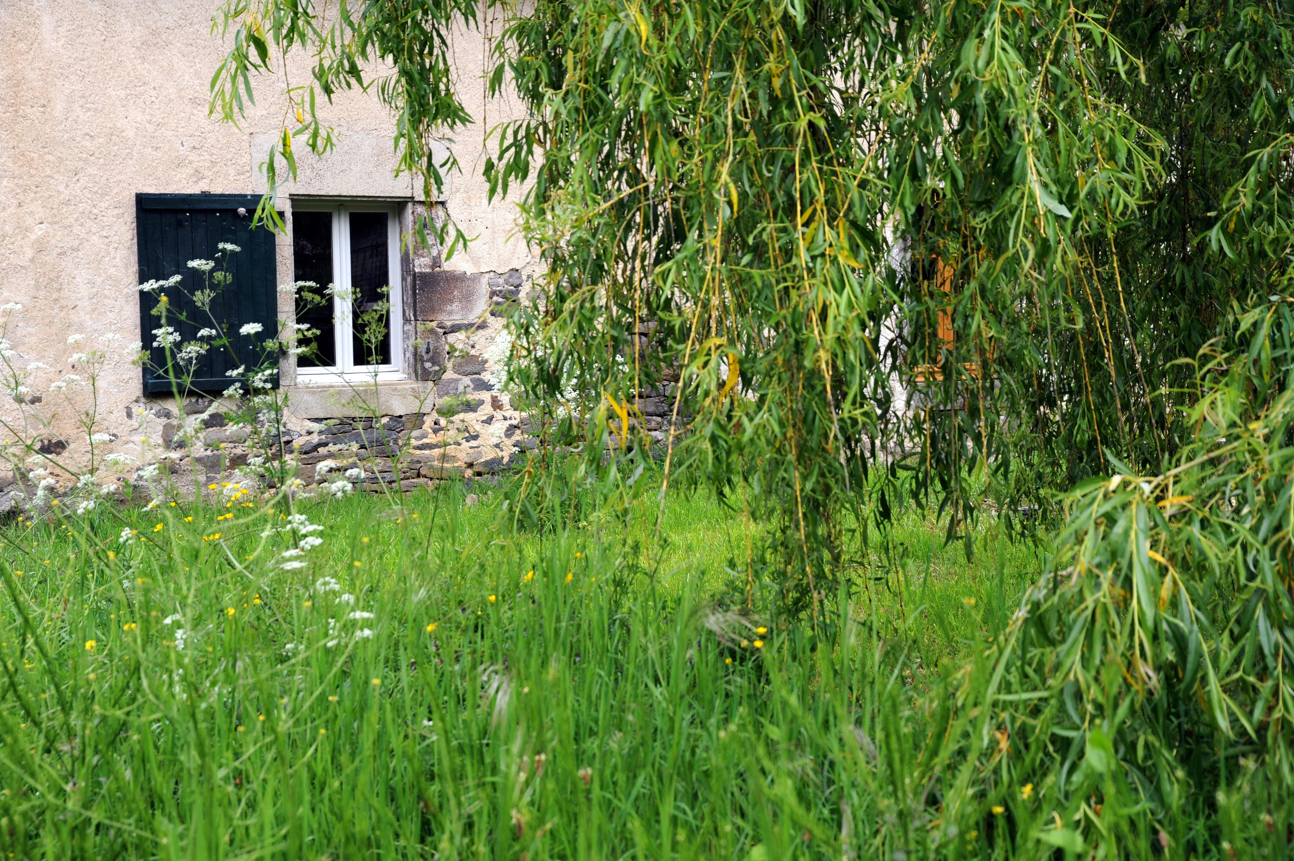 Photo n° 15 of the location