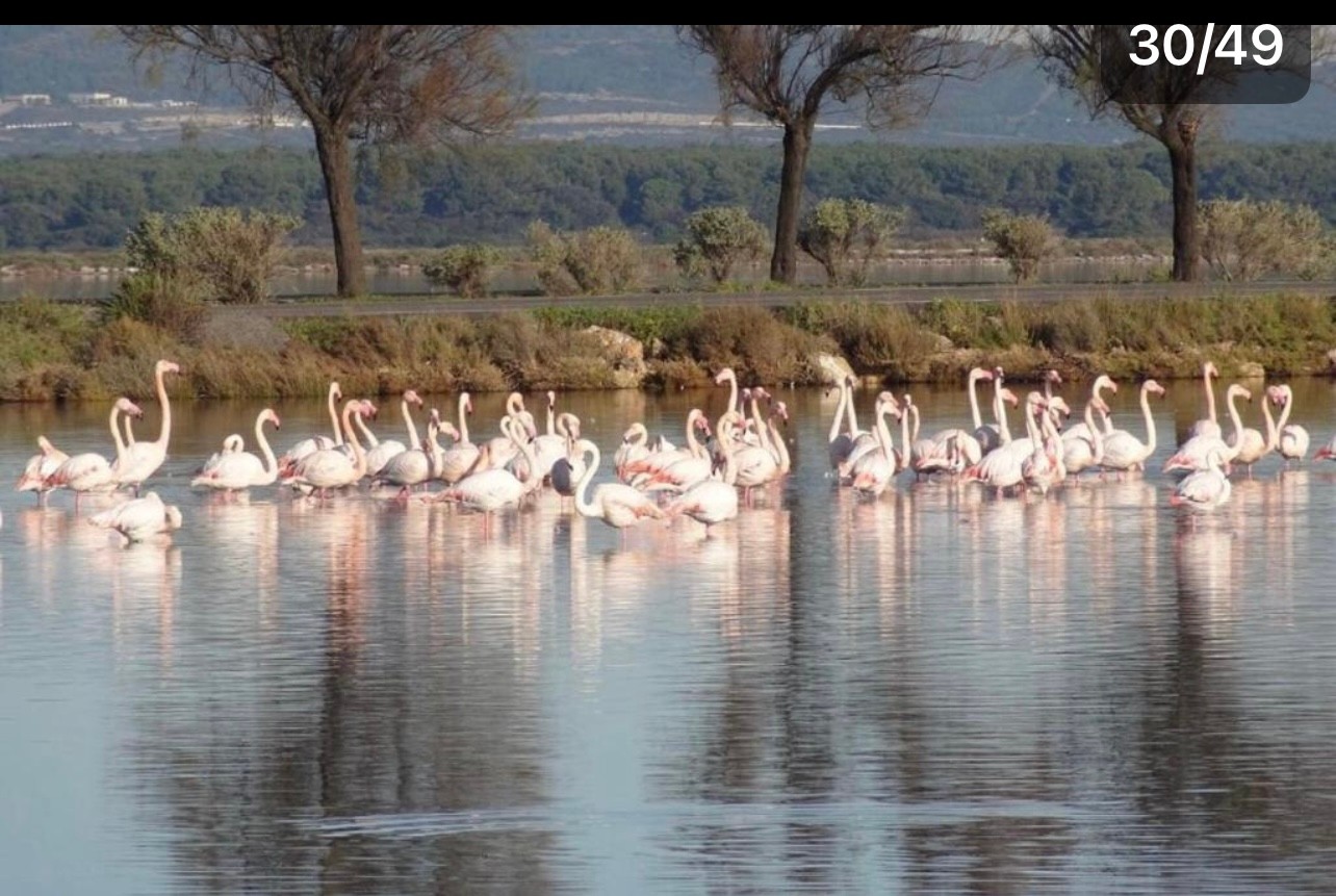 Photo n° 18 de la location