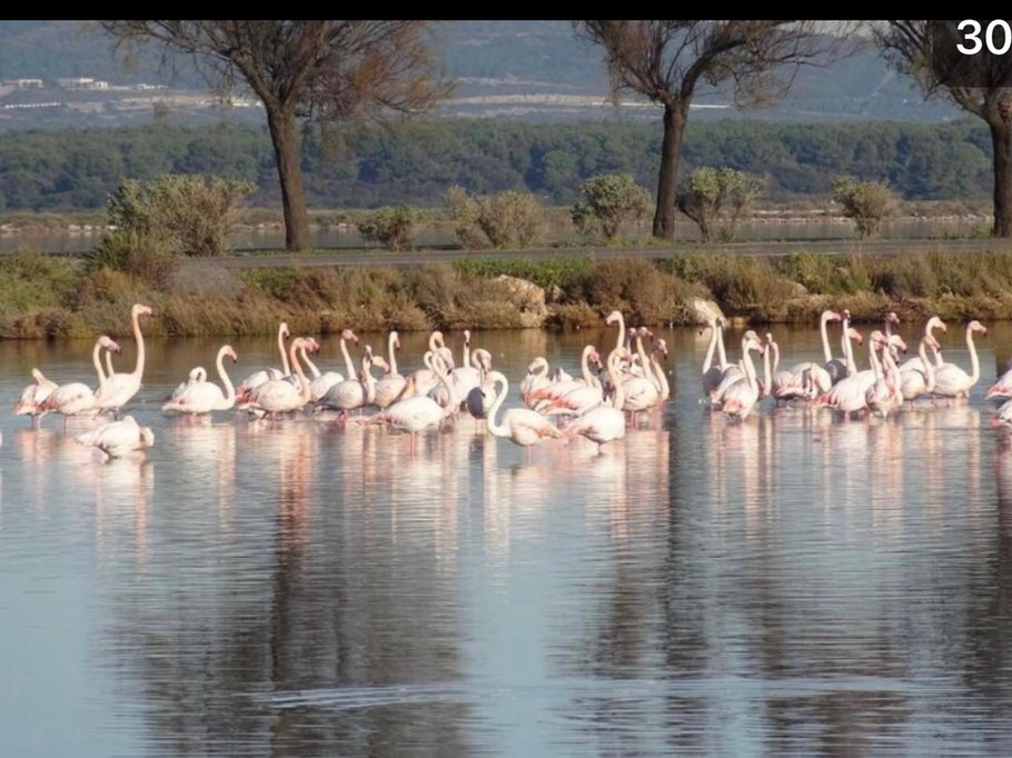 Photo n° 18 de la location