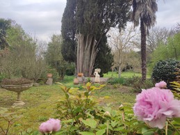 Image n° 4 de la location