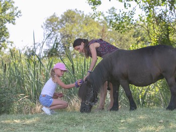 Photo n° 11 of the location