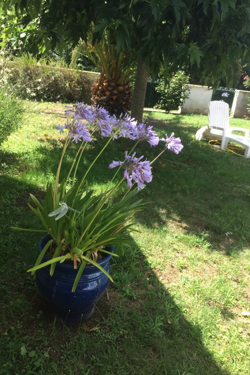 la villa avec jardin, près des plages, à St Georges d'Oléron, sur l'ile d'Oléron en Charente maritime