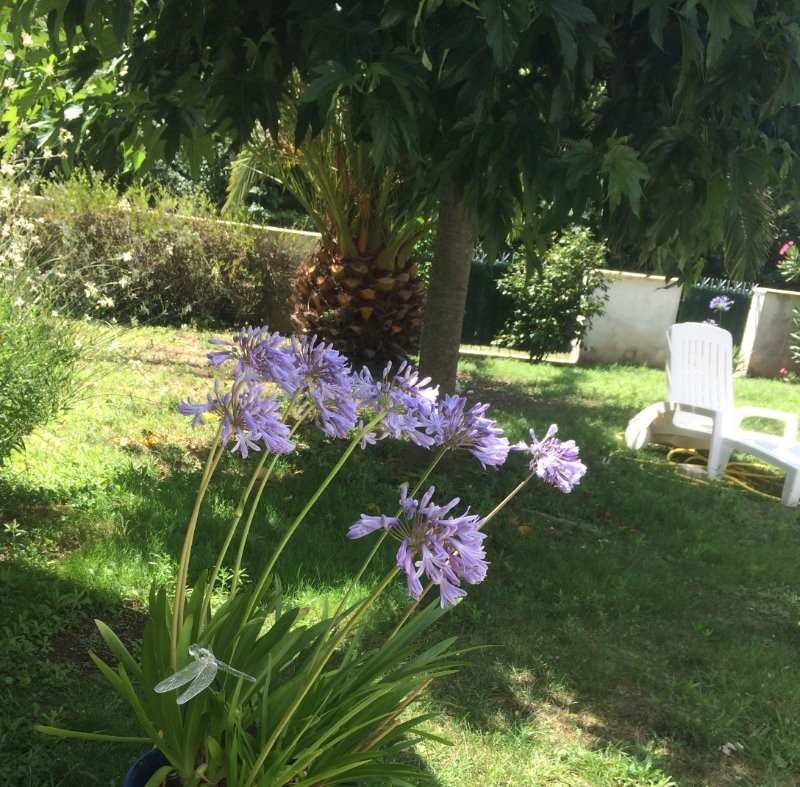 la villa avec jardin, près des plages, à St Georges d'Oléron, sur l'ile d'Oléron en Charente maritime