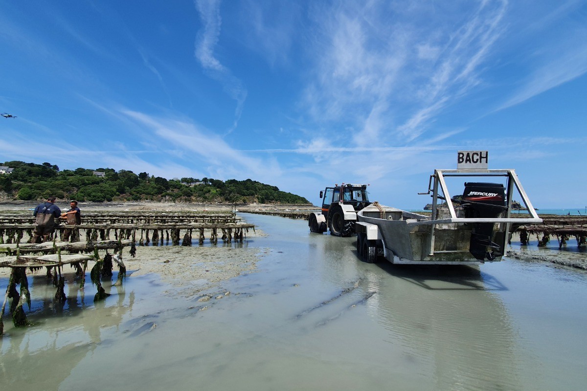 Parcs à huîtres, présent dans la Baie du Mont Saint-Michel jusqu'à Cancale.