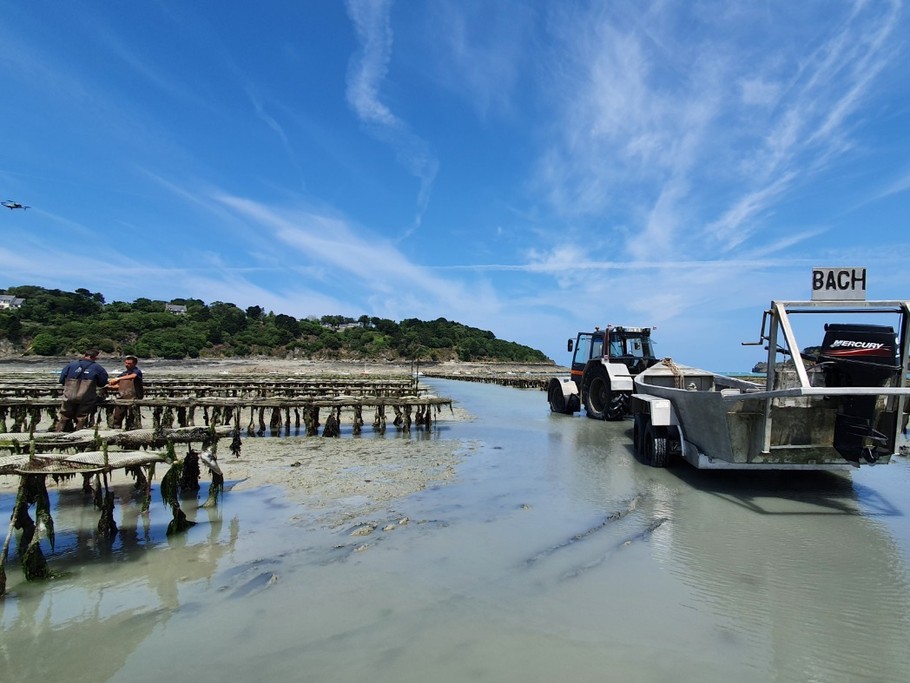 Parcs à huîtres, présent dans la Baie du Mont Saint-Michel jusqu'à Cancale.