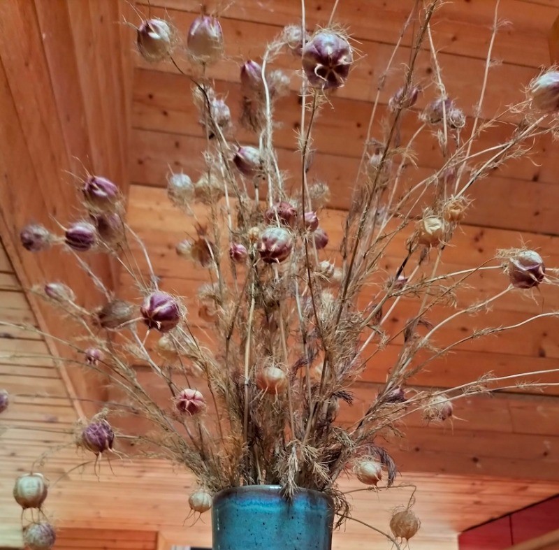 Photo n° 8 of the location