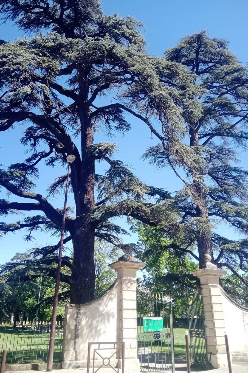 Photo n° 14 de la location