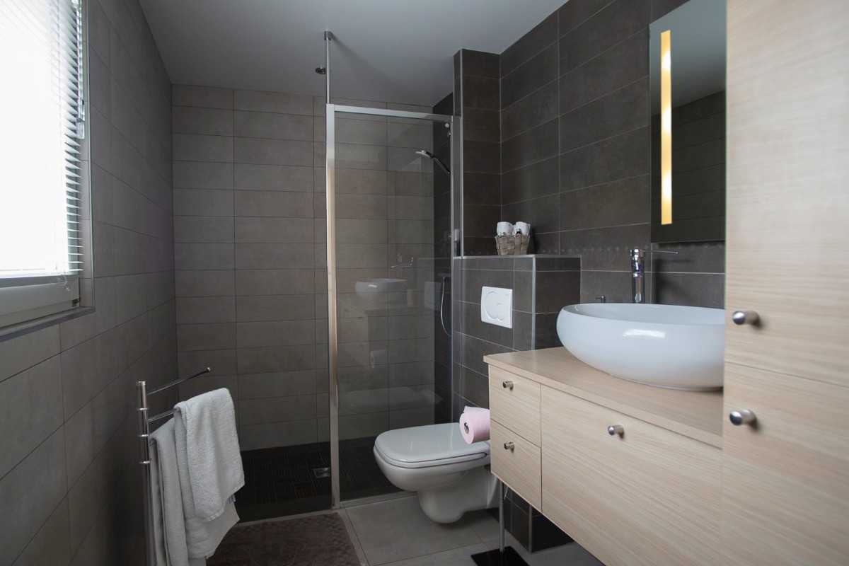 Salle d'eau avec toilettes