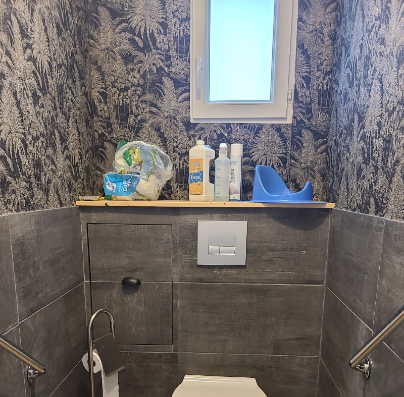 barres d appui WC