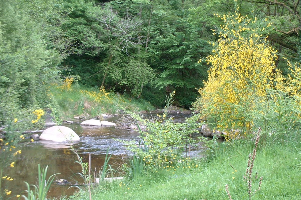 Rivière