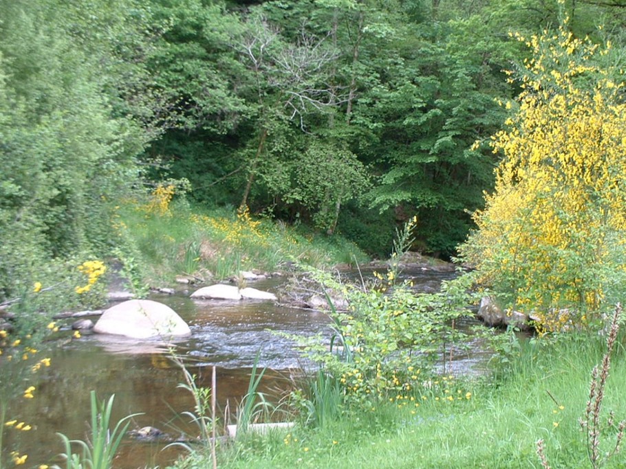 Rivière